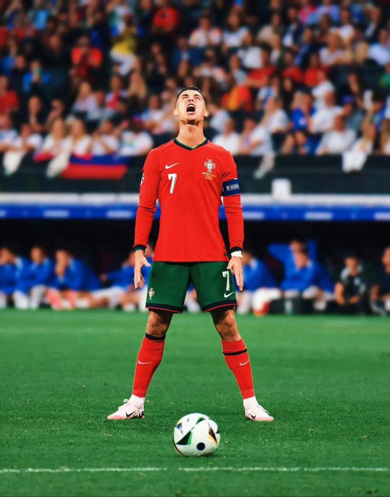 了媒体的广 了媒体的广