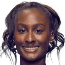 其意义不可 其意义不可